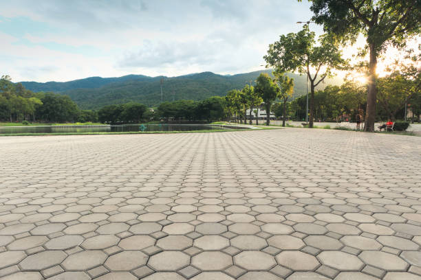 Best Driveway Paving Near Me  in Barker Heights, NC