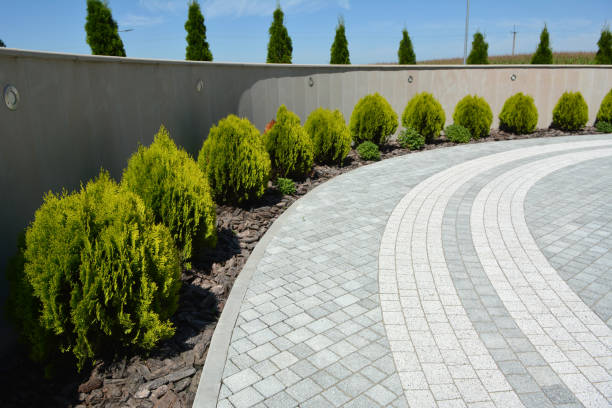 Best Driveway Paving Contractor  in Barker Heights, NC